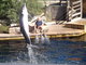 Norimbersk zoologick zahrada