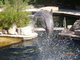 Norimbersk zoologick zahrada