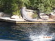Norimbersk zoologick zahrada