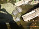 Norimbersk zoologick zahrada