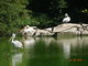 Norimbersk zoologick zahrada