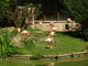 Norimbersk zoologick zahrada