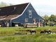 Nae prvn cesta do Holandska - Zaanse Schans