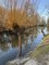 Chrudimsk prodn pamtka Pta ostrovy