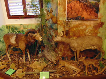 FOTKA - Navtvili jsme Vlastivdn muzeum v esk Lp