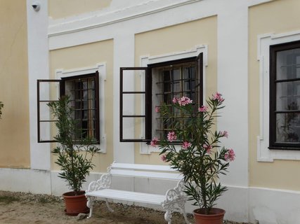 FOTKA - I tady jsme byli - zmek Milotice