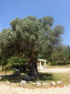 FOTKA - Msto Rhodos - buc srdce ostrova