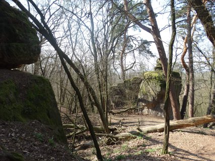FOTKA - I tady jsme byli - krsa ukryt ve skalch