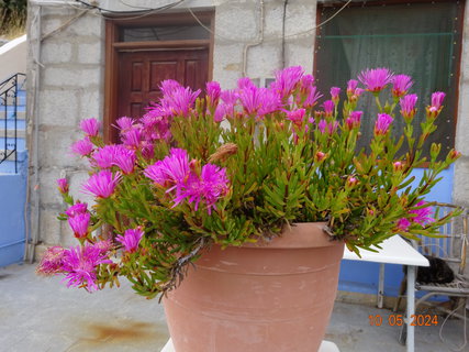 FOTKA - Ostrov Symi - malebn krsa