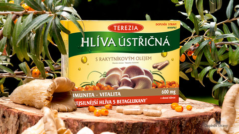 FOTKA - Hlva stin: s rakytnkem jedinen kombinace