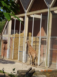 FOTKA - Norimbersk zoologick zahrada