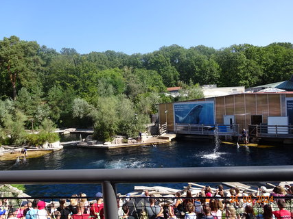 FOTKA - Norimbersk zoologick zahrada