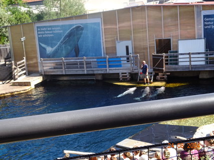 FOTKA - Norimbersk zoologick zahrada