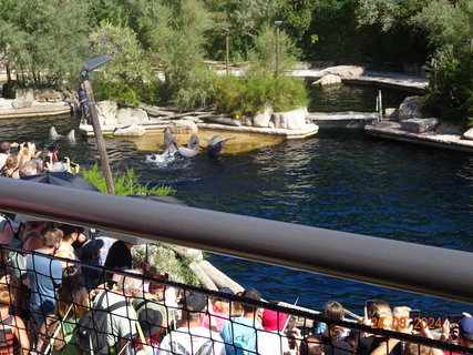 FOTKA - Norimbersk zoologick zahrada