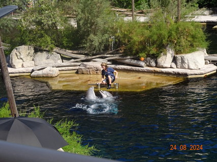 FOTKA - Norimbersk zoologick zahrada