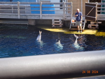 FOTKA - Norimbersk zoologick zahrada