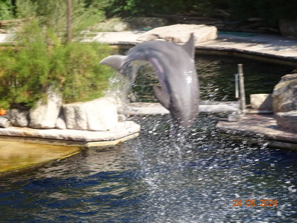 FOTKA - Norimbersk zoologick zahrada