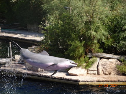 FOTKA - Norimbersk zoologick zahrada
