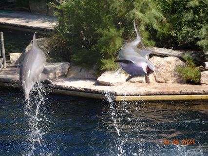 FOTKA - Norimbersk zoologick zahrada