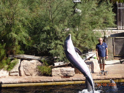 FOTKA - Norimbersk zoologick zahrada