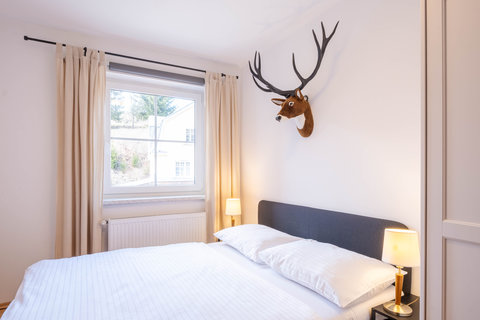FOTKA - Hotel Hvzda roziuje nabdku pro hosty o modern apartmny