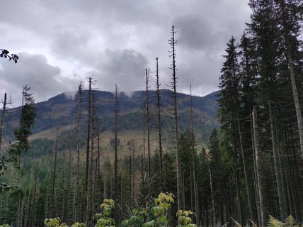 FOTKA - Morskie oko - klenot tatransk prody
