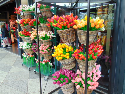 FOTKA - Nae prvn cesta do Holandska - Keukenhof