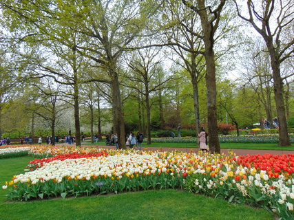 FOTKA - Nae prvn cesta do Holandska - Keukenhof