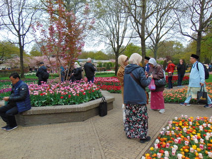 FOTKA - Nae prvn cesta do Holandska - Keukenhof