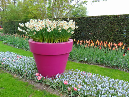 FOTKA - Nae prvn cesta do Holandska - Keukenhof