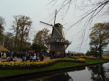 FOTKA - Nae prvn cesta do Holandska - Keukenhof