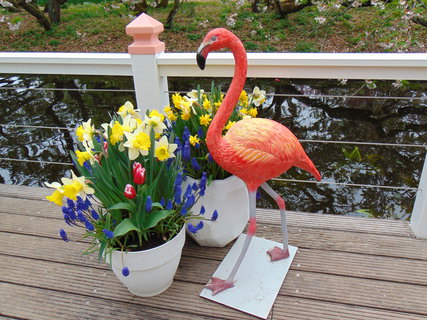FOTKA - Nae prvn cesta do Holandska - Keukenhof