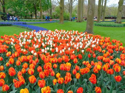 FOTKA - Nae prvn cesta do Holandska - Keukenhof
