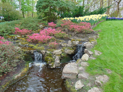 FOTKA - Nae prvn cesta do Holandska - Keukenhof