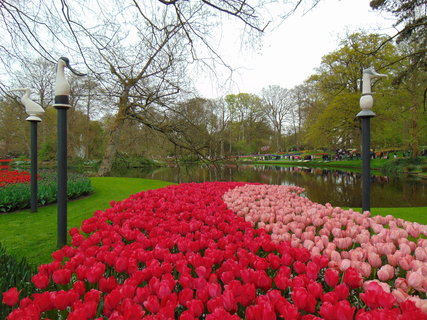 FOTKA - Nae prvn cesta do Holandska - Keukenhof