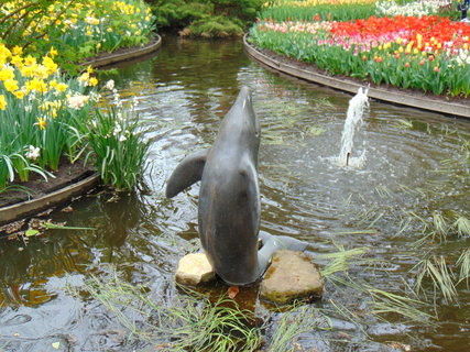 FOTKA - Nae prvn cesta do Holandska - Keukenhof