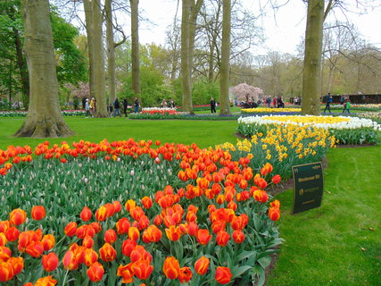 FOTKA - Nae prvn cesta do Holandska - Keukenhof