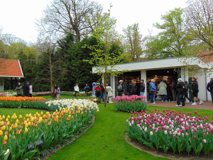 FOTKA - Nae prvn cesta do Holandska - Keukenhof