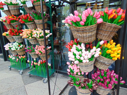 FOTKA - Nae prvn cesta do Holandska - Keukenhof