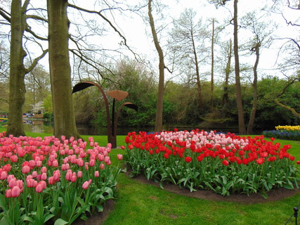 FOTKA - Nae prvn cesta do Holandska - Keukenhof