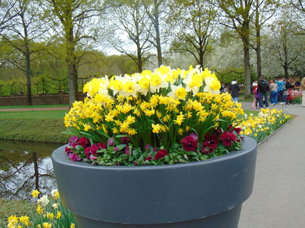 FOTKA - Nae prvn cesta do Holandska - Keukenhof