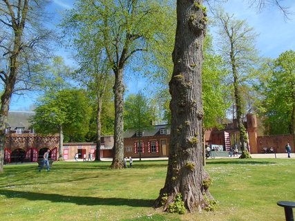 FOTKA - Nae prvn cesta do Holandska - zmek a park De Haar