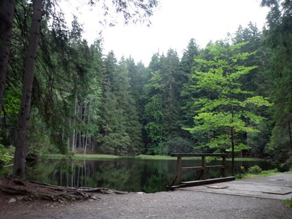 FOTKA - Boubnsk prales a jezrko