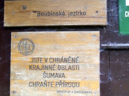 FOTKA - Boubnsk prales a jezrko