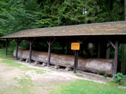 FOTKA - Boubnsk prales a jezrko