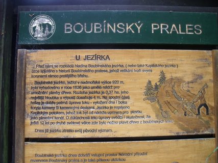 FOTKA - Boubnsk prales a jezrko