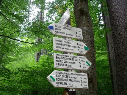 FOTKA - Boubnsk prales a jezrko