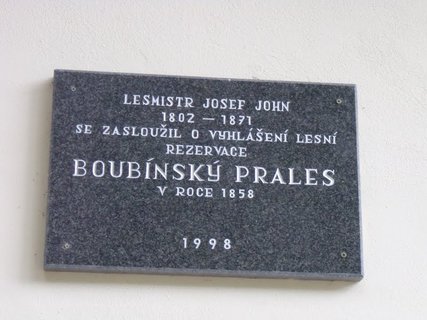 FOTKA - Boubnsk prales a jezrko