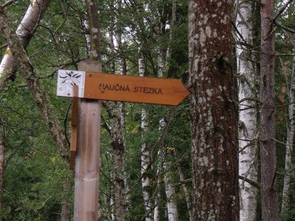 FOTKA - Soumarsk most