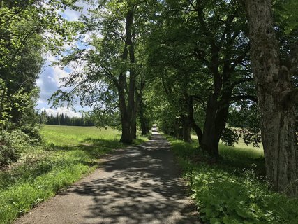 FOTKA - Zanikl umavsk obce: Hrka